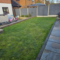 Grass needing replaced